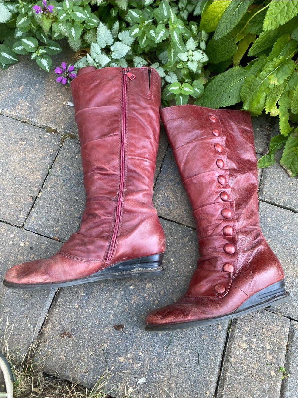 Miz Mooz Bloom Oxblood Leather Button Trim Knee High Boots Sz 7 - Issues Fall - Picture 2 of 7